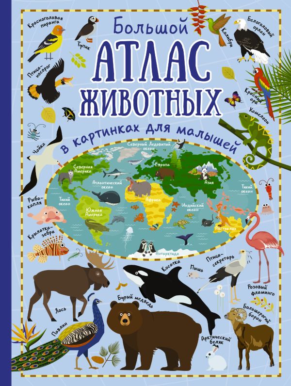 Большой атлас животных в картинках для малышей Большой атлас животных в картинках для малышей Дорошенко М.А.