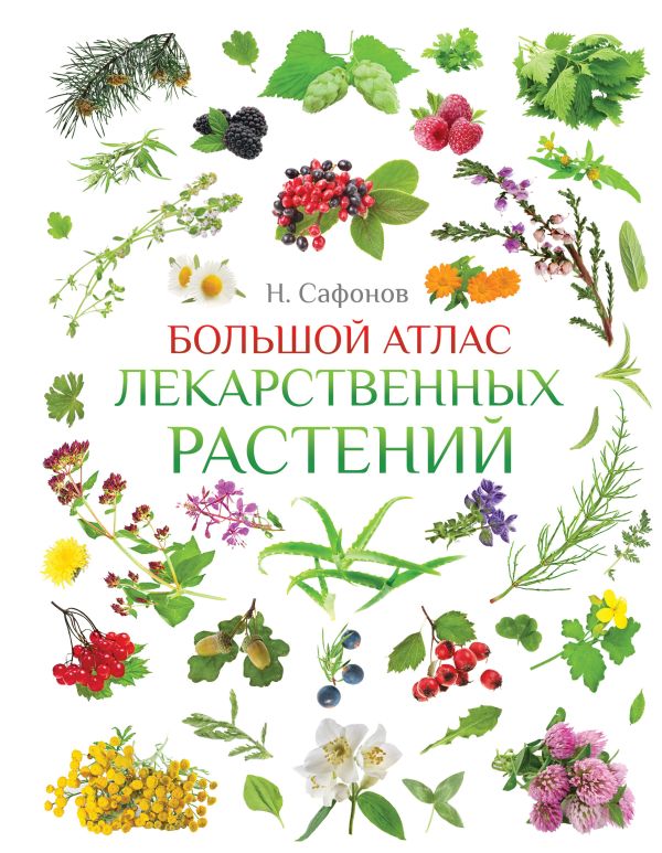 Большой атлас лекарственных растений Большой атлас лекарственных растений Сафонов Н.Н.