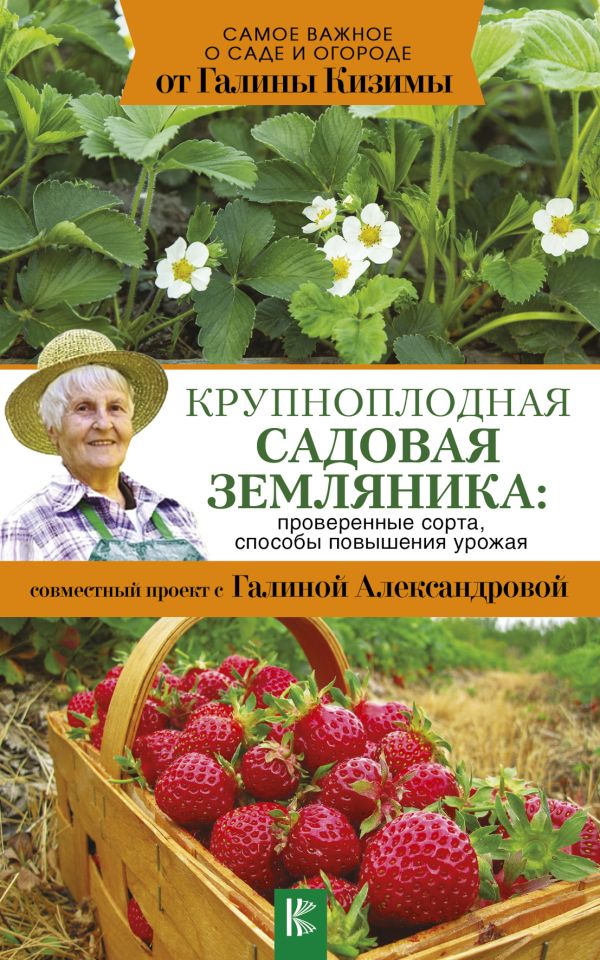 Крупноплодная садовая земляника: проверенные сорта, способы повышения урожая Крупноплодная садовая земляника: проверенные сорта, способы повышения урожая Кизима Г.А.