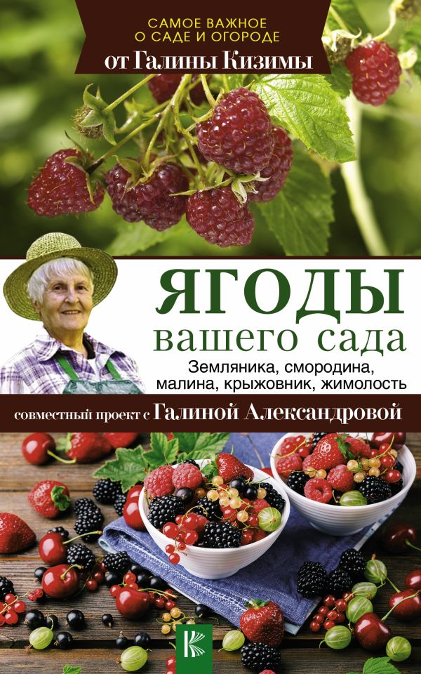 Ягоды вашего сада. Земляника, смородина, малина, крыжовник, жимолость Ягоды вашего сада. Земляника, смородина, малина, крыжовник, жимолость Кизима Г.А.