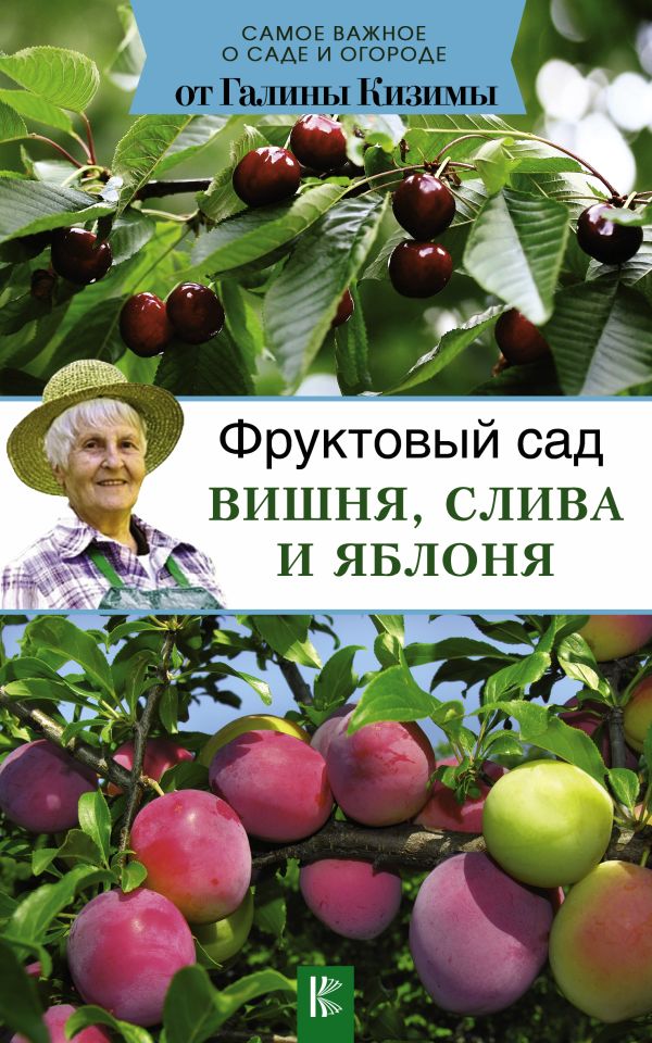 Фруктовый сад. Вишня, слива и яблоня Фруктовый сад. Вишня, слива и яблоня Кизима Г.А.