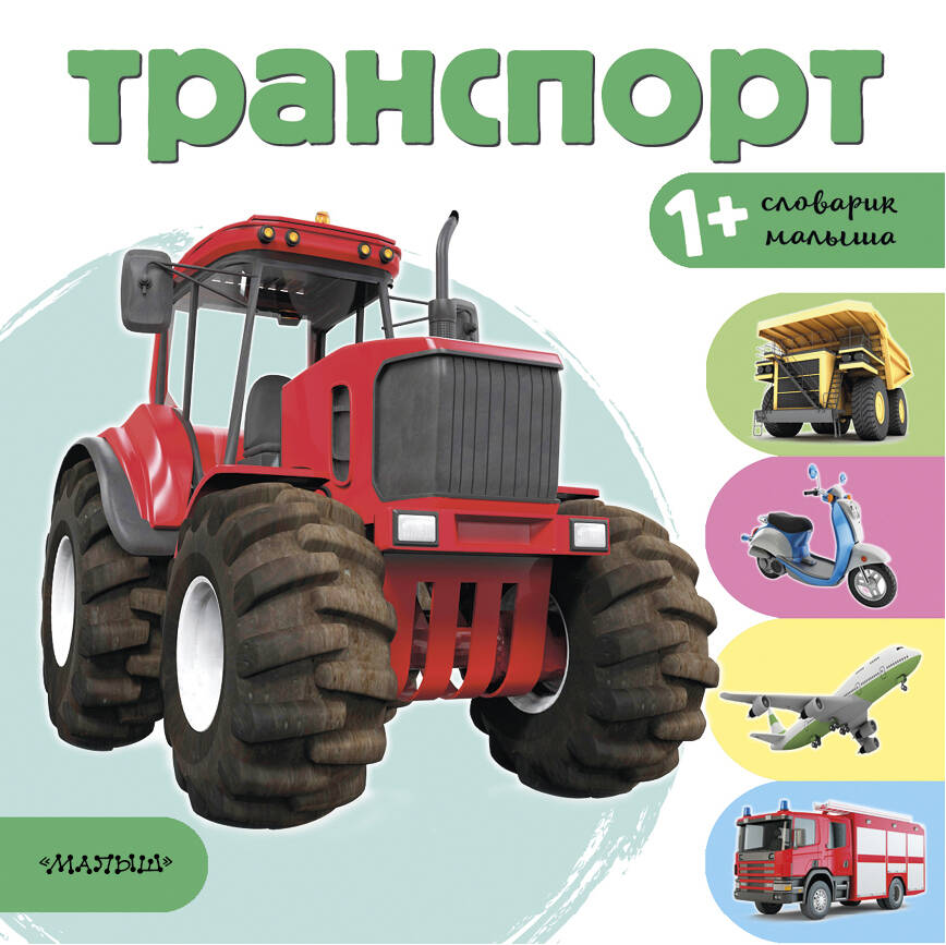 Станкевич С.А. Транспорт