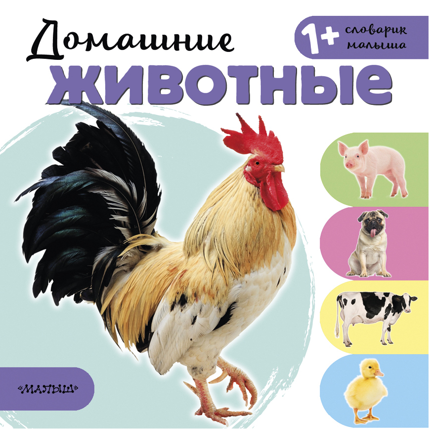 Станкевич С.А. Домашние животные