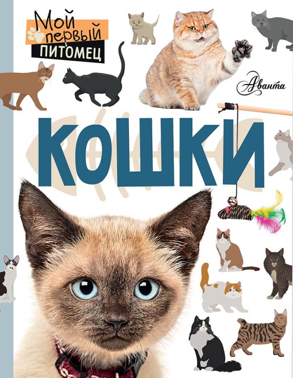Кошки Кошки Лагоша М.А.