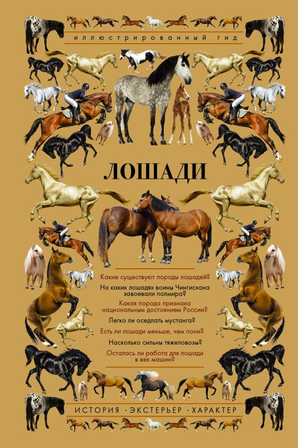 Лошади. Иллюстрированный гид Лошади. Иллюстрированный гид .