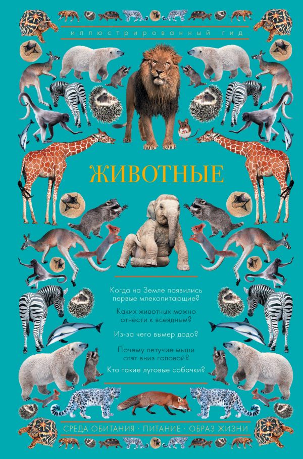 Zakazat.ru: Животные. Иллюстрированный гид. Чудова Анастасия Витальевна