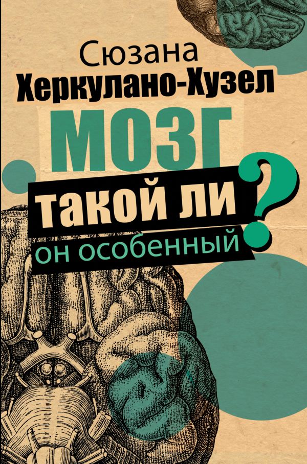 Мозг. Такой ли он особенный?. Херкулано-Хузел Сюзана