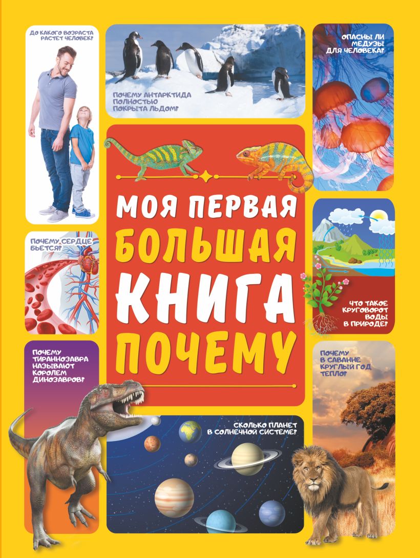 Большая книга фото