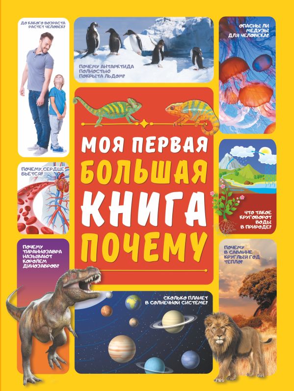 Zakazat.ru: Моя первая большая книга ПОЧЕМУ. Ермакович Дарья Ивановна