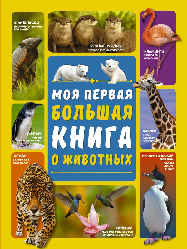 Zakazat.ru: Моя первая большая книга о животных. Ермакович Дарья Ивановна, Вайткене Любовь Дмитриевна
