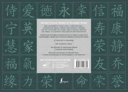 Книга Китайские иероглифы. Многоразовые прописи: основные черты ...