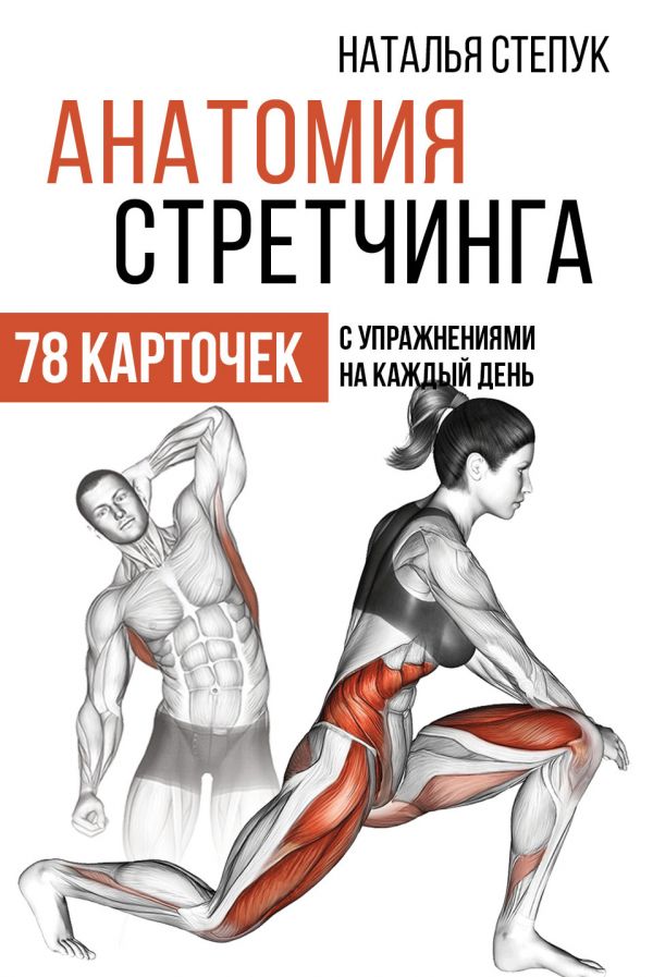 Анатомия стретчинга. 78 карточек с упражнениями на каждый день.. Степук Наталья Генриховна