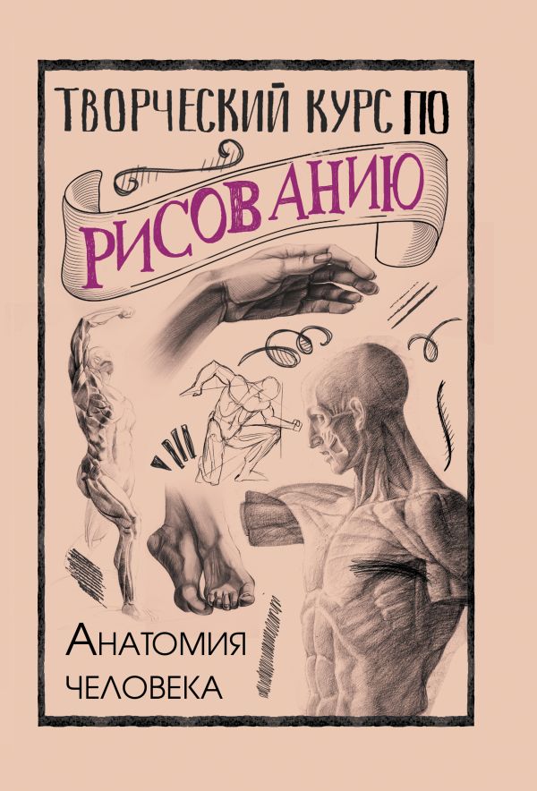 Zakazat.ru: Творческий курс по рисованию. Анатомия человека. Грей Мистер