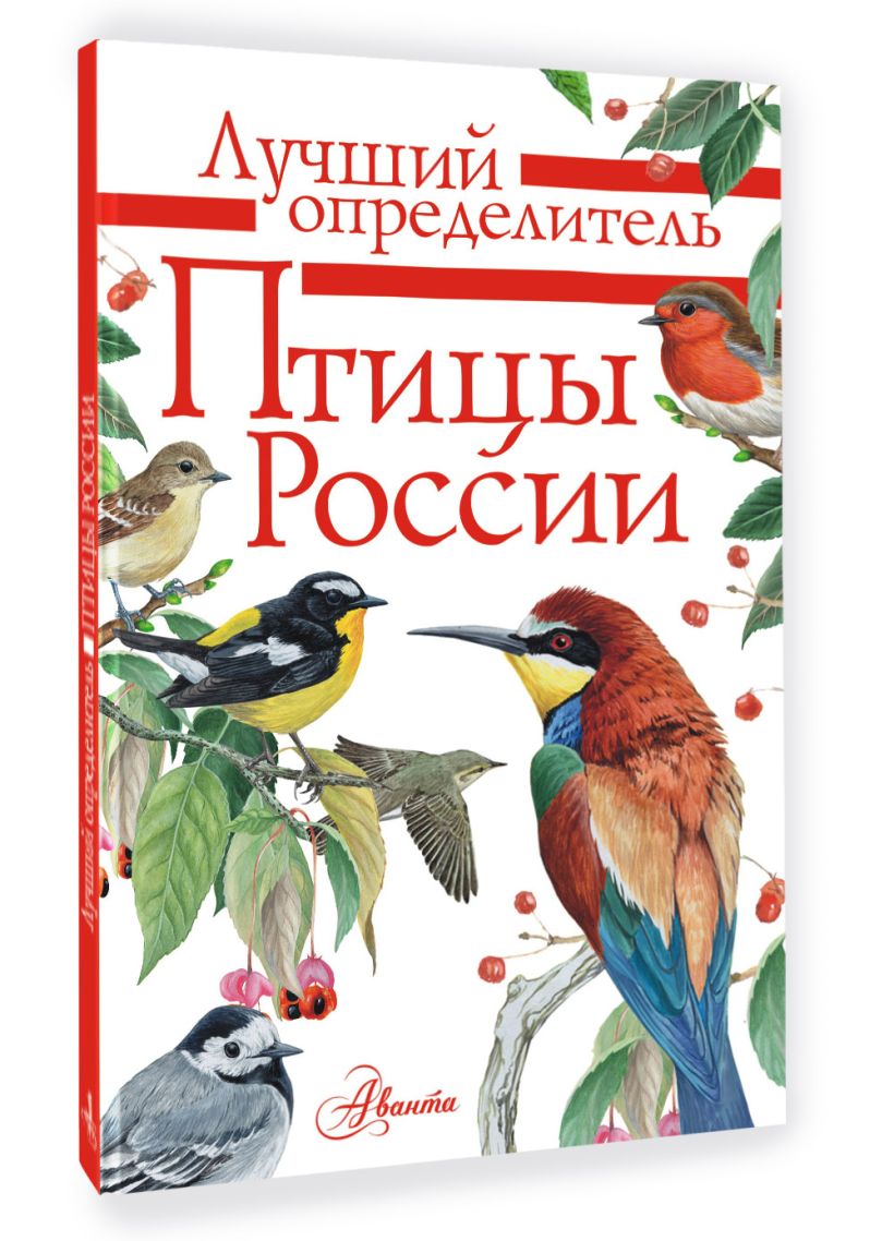 Выполните поиск и введите количество найденных файлов начинающихся на 111ттт созданных в excel