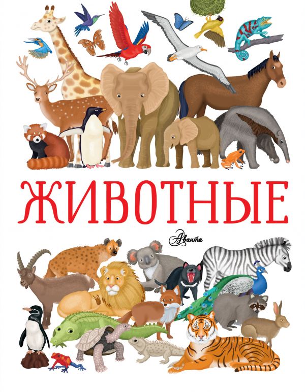 Zakazat.ru: Животные. Барзотти Илария