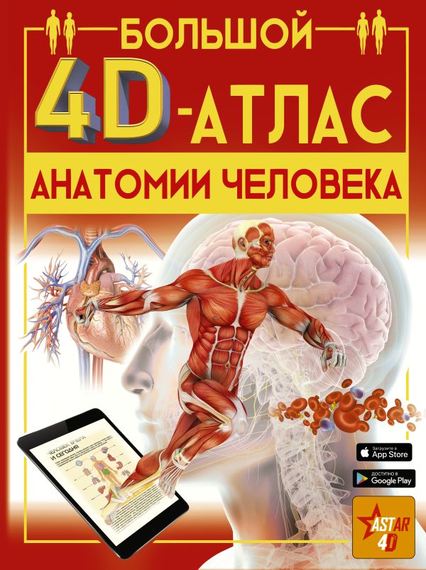 Zakazat.ru: Большой 4D-атлас анатомии человека. Спектор Анна Артуровна