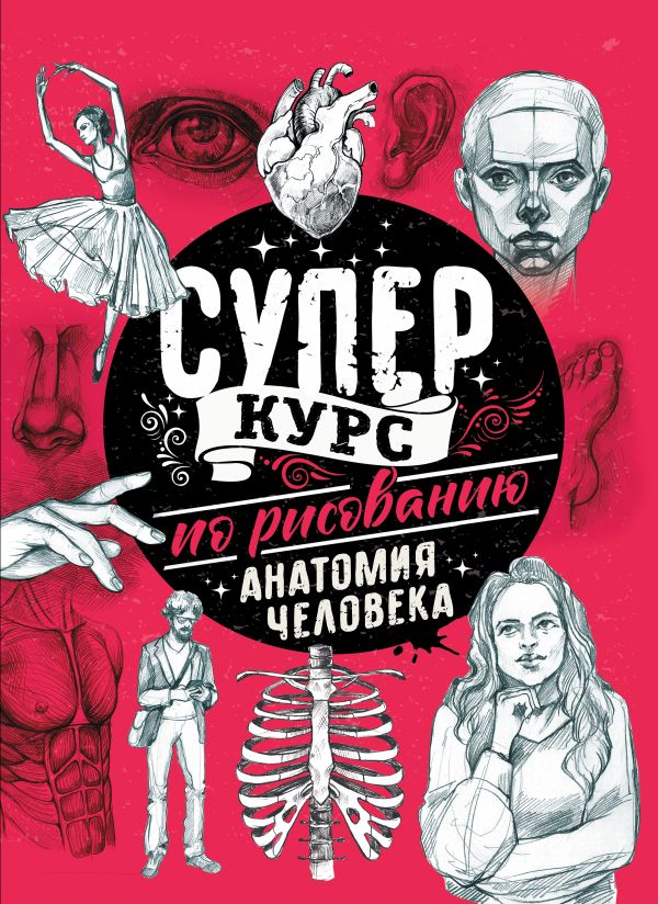 Суперкурс по рисованию. Анатомия человека. Грей Мистер