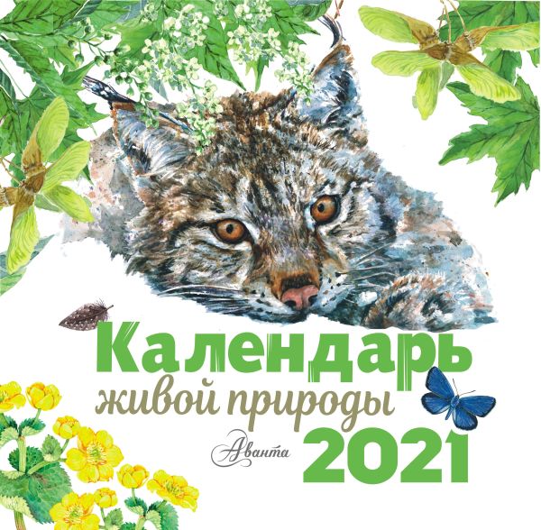 

Календарь настенный на 2021 год «Календарь живой природы»
