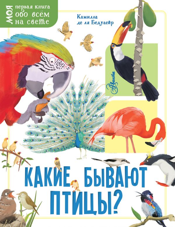 Zakazat.ru: Какие бывают птицы?. Бедуайер Камилла