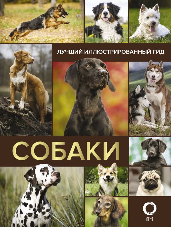 Zakazat.ru: Собаки. Лучший иллюстрированный гид. .