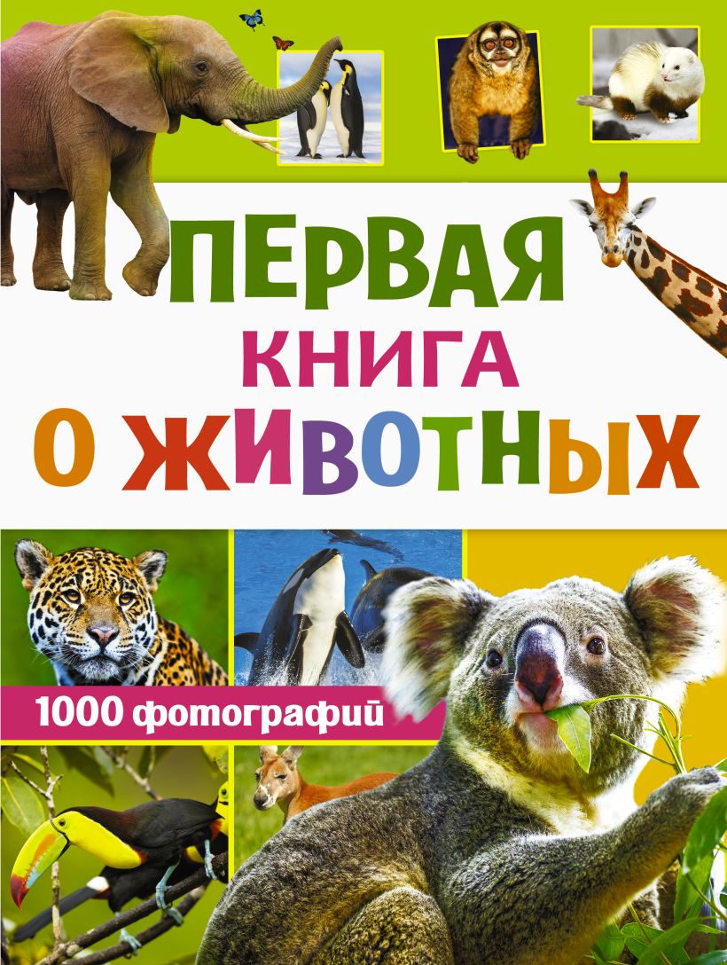 Проект книги о животных 5 класс