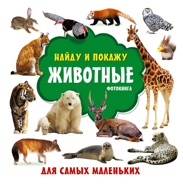 Zakazat.ru: Животные. Фотокнига. Земченок С.О.
