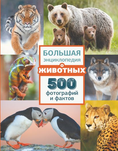 Большая энциклопедия о животных. 500 фотографий и фактов - фото 1