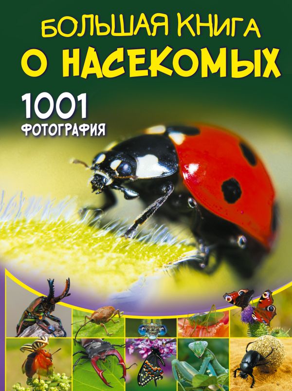Большая книга о насекомых. 1001 фотография. Спектор Анна Артуровна