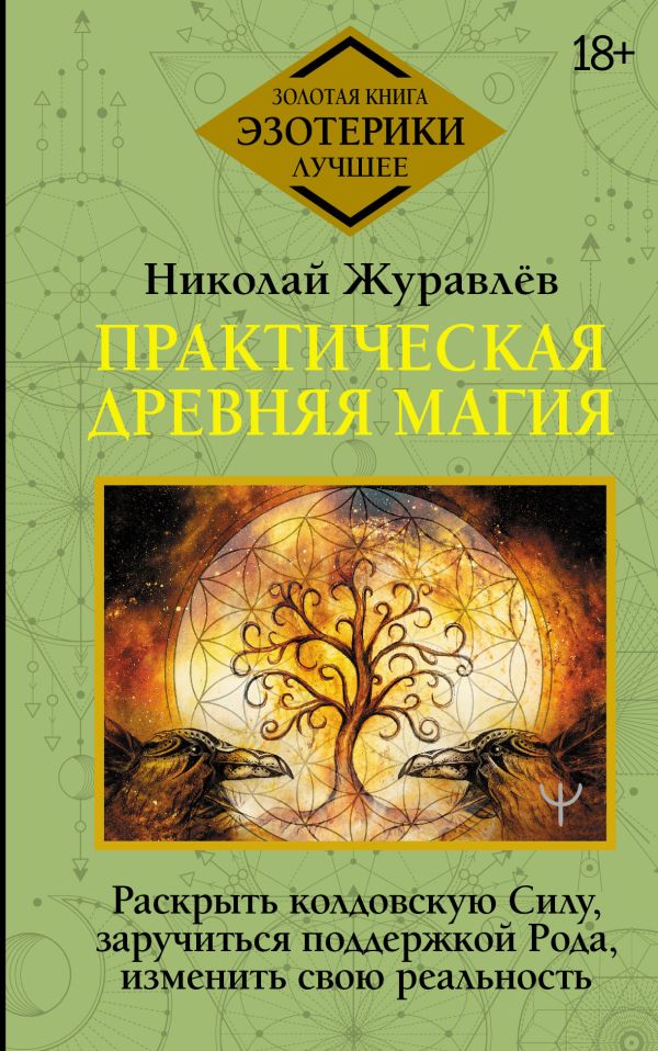 

Практическая древняя магия. Раскрыть колдовскую Силу, заручиться поддержкой Рода, изменить свою реальность