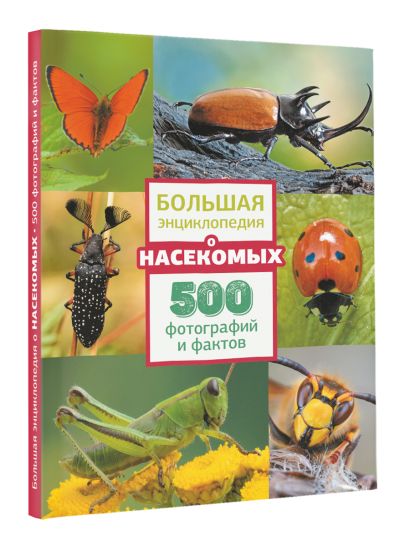 Большая энциклопедия о насекомых. 500 фотографий и фактов - фото 1