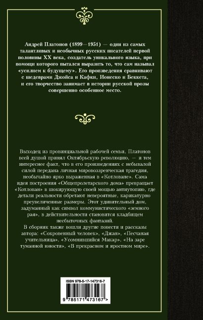 План по главам в прекрасном и яростном мире платонов по главам