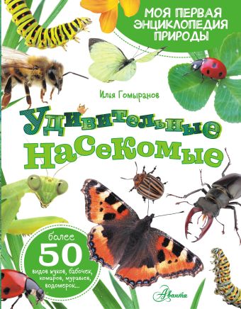 Гомыранов Илья Алексеевич Удивительные насекомые