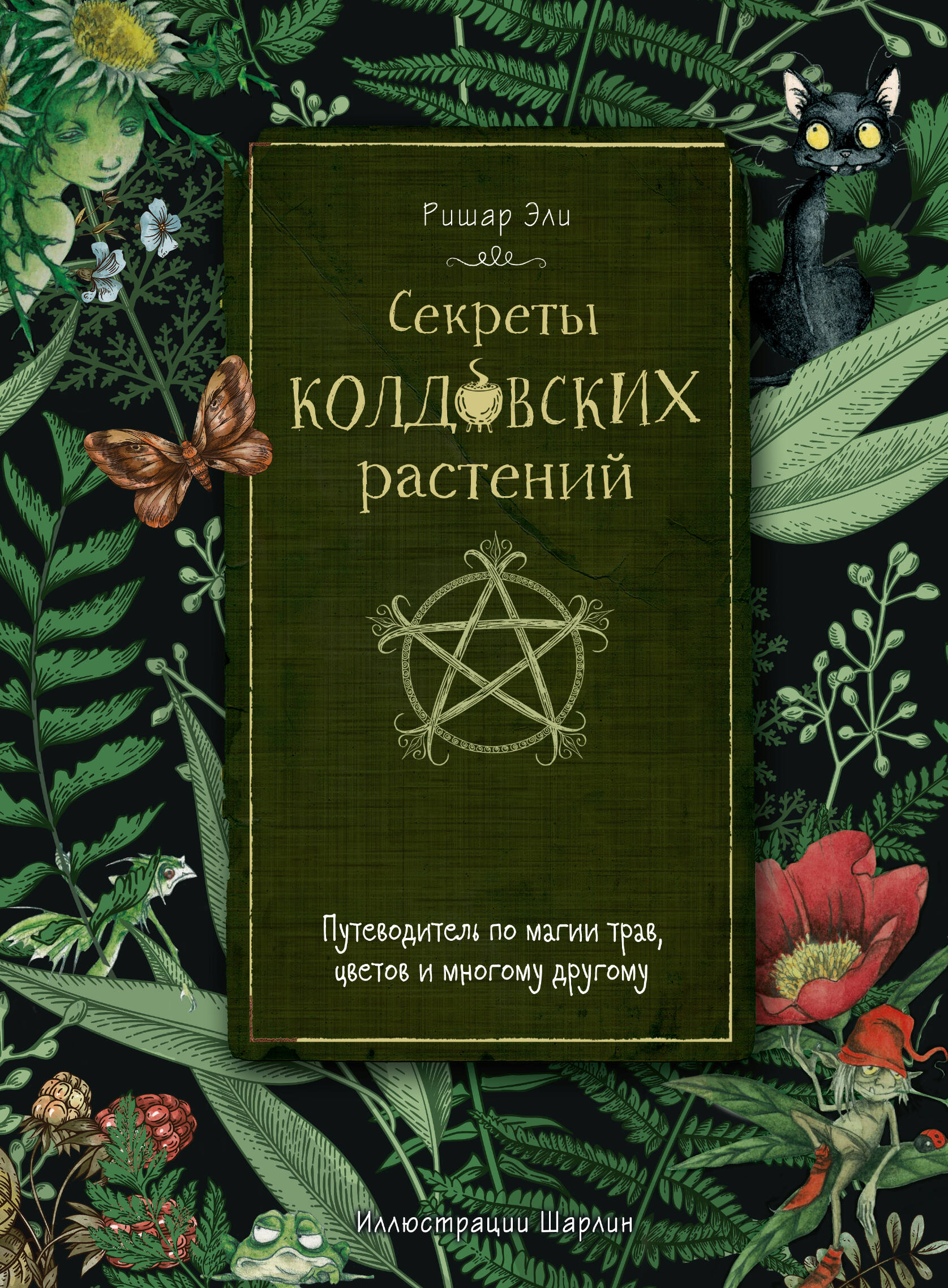 Зеленый оазис. Комнатные растения от А до Я (Березкина Ирина Валентиновна).  ISBN: 978-5-04-098786-3 ➠ купите эту книгу с доставкой в интернет-магазине  «Буквоед»