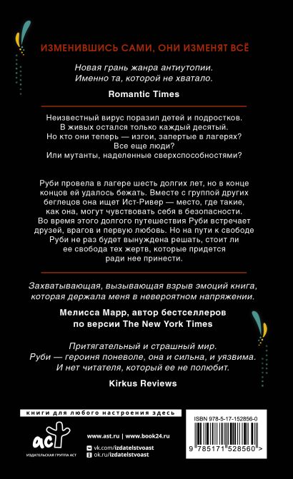 Темные Отражения В Лучах Заката Купить Книгу