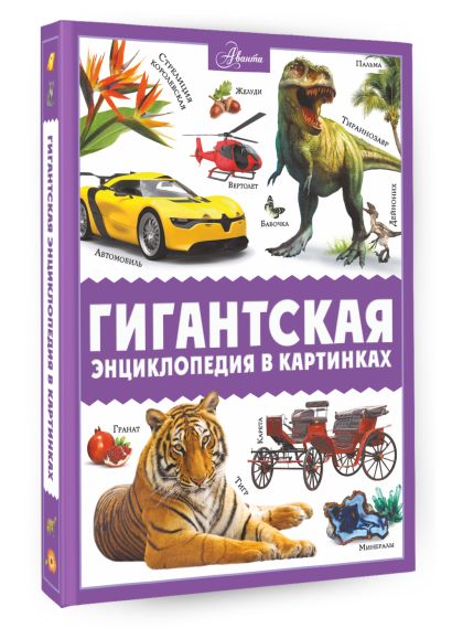 Энциклопедия в картинках