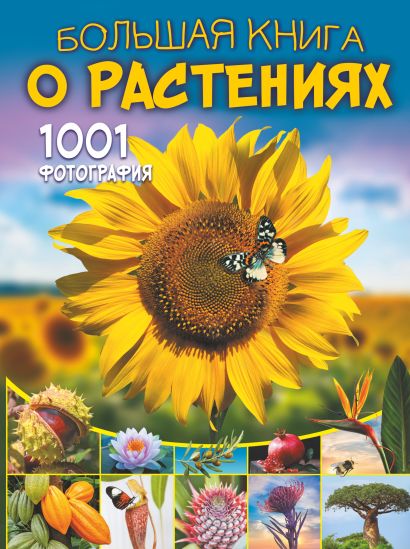Большая книга о растениях. 1001 фотография - фото 1