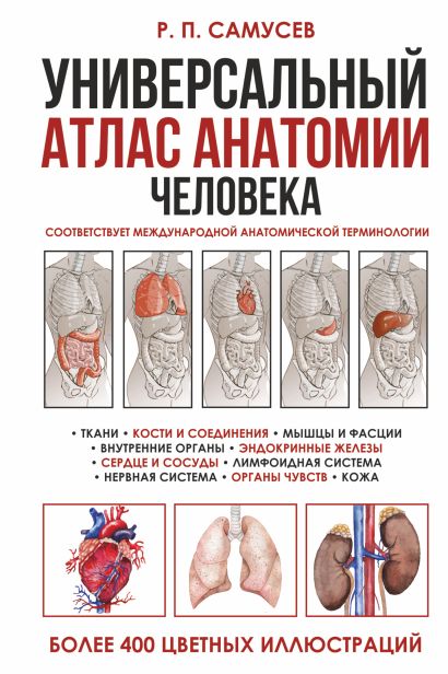 Универсальный атлас анатомии человека с цветными иллюстрациями - фото 1