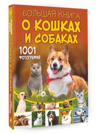 Большая книга о кошках и собаках. 1001 фотография - фото 1