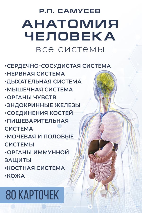 

Анатомия человека. 80 карточек