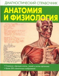 Анатомия и физиология Анатомия и физиология