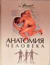 Анатомия человека Анатомия человека