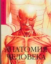 Анатомия человека Анатомия человека Макарова Е.А.