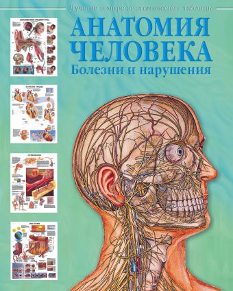 Анатомия человека. Болезни и нарушения Анатомия человека. Болезни и нарушения Махиянова Е.