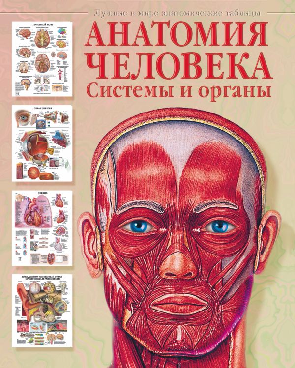 Анатомия человека. Системы и органы Анатомия человека. Системы и органы Махиянова Е.Б.
