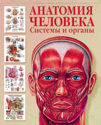 визуальный атлас человеческого тела Махиянова Евгения Борисовна Анатомия человека. Системы и органы