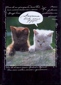 Анкета для моих друзей(коты, черная)