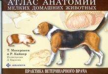 Атлас анатомии мелких домашних животных (305х230)