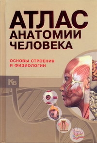 Атлас анатомии человека : основы строения и физиологии = Анатомический атлас Атлас анатомии человека : основы строения и физиологии = Анатомический атлас Бориса А. И.