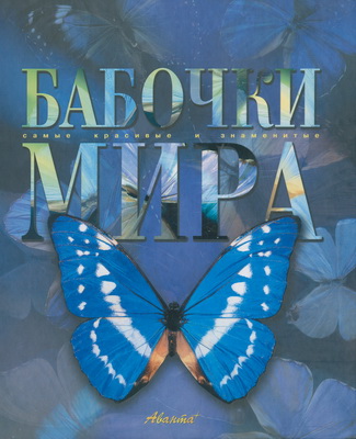 раскраска бабочки мира Комиссарова Л.В. Бабочки мира