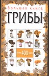 Большая книга. Грибы Большая книга. Грибы Макарова Н.Е.